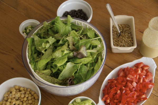 Salads: what we eat for lunch