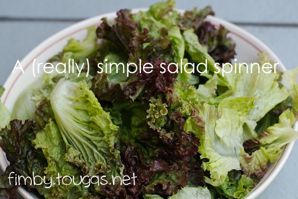 A Simple Salad Spinner