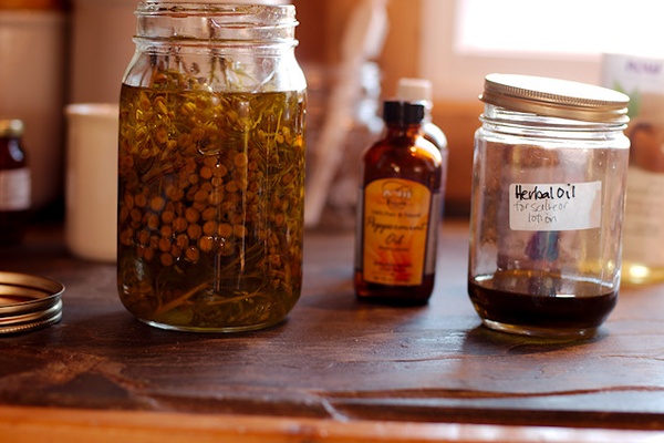 (the ultimate) Healthy Homemaker Series ~ herbs and essential oils