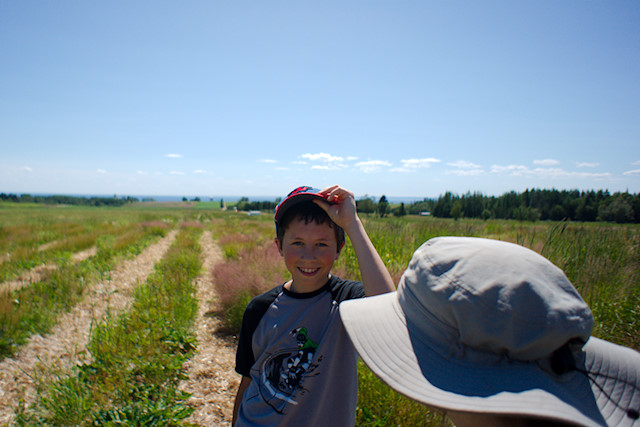 boy in berry field