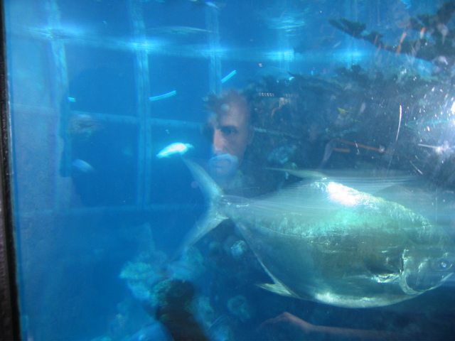 Damien's reflection in Giant Ocean Tank