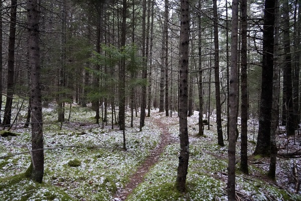 Past, present, and future winters