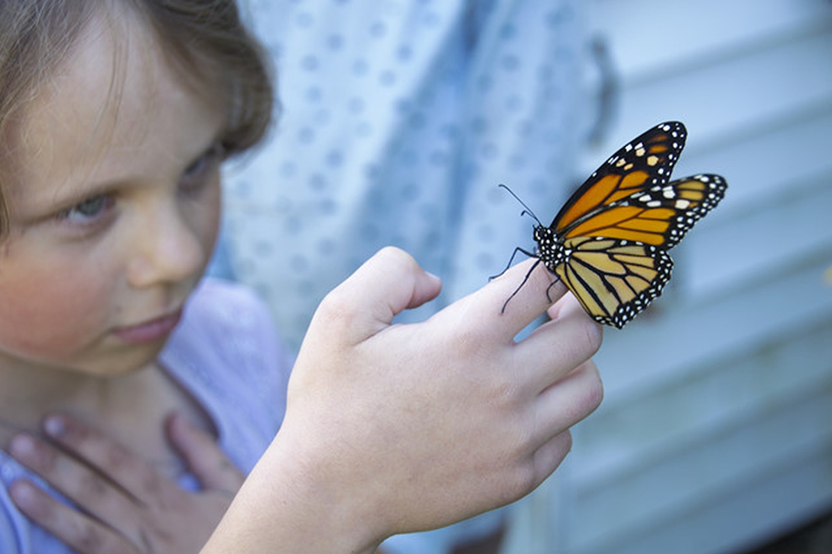 Outdoors & Nature Study (Homeschool)