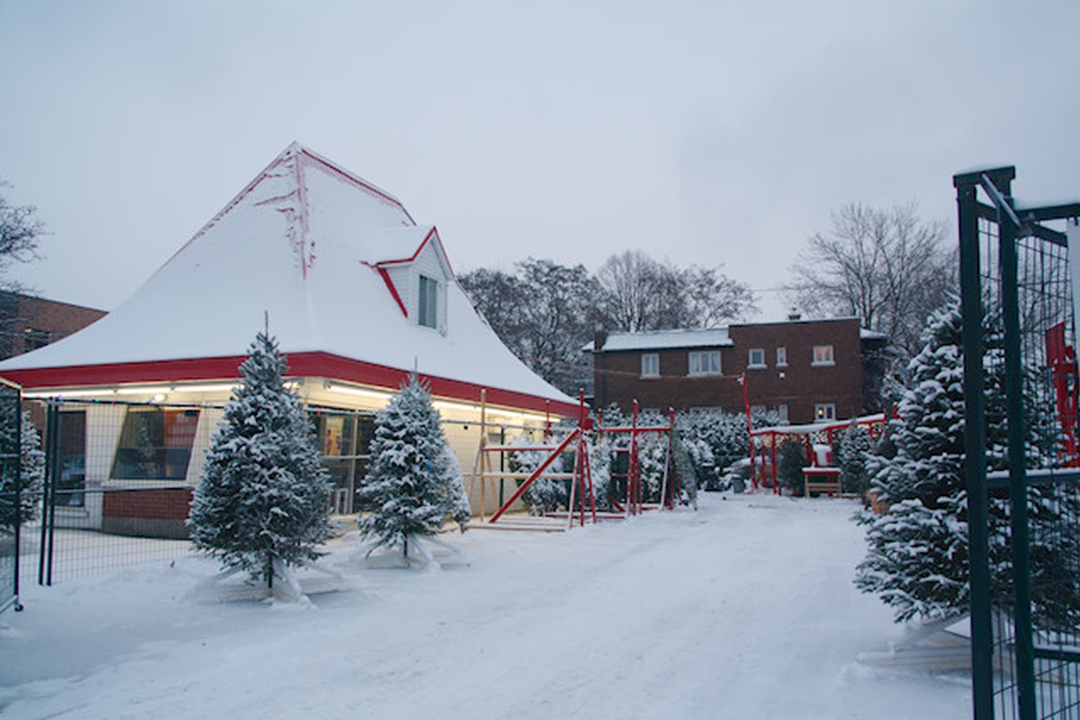 Christmas Stories The Dairy Queen sells Christmas Trees Renee Tougas