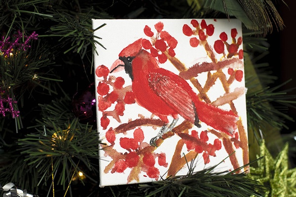A Cardinal in an Evergreen ~ The Boy's Got a Gift