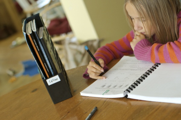 Figuring out Homeschooling Late Elementary