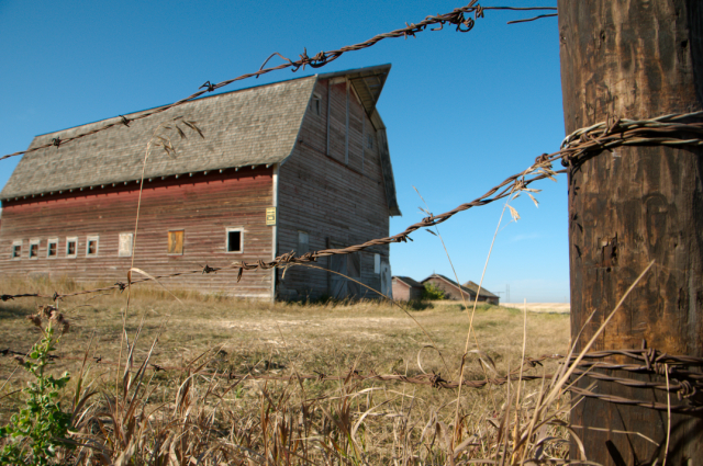 Alberta countryside