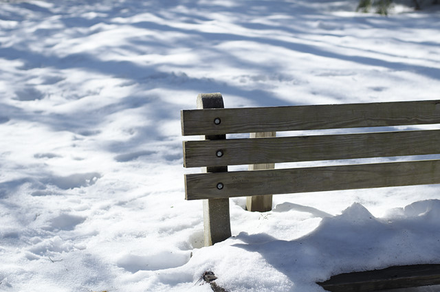 snowy park bench