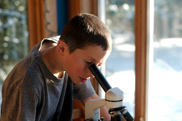 homeschool microscope