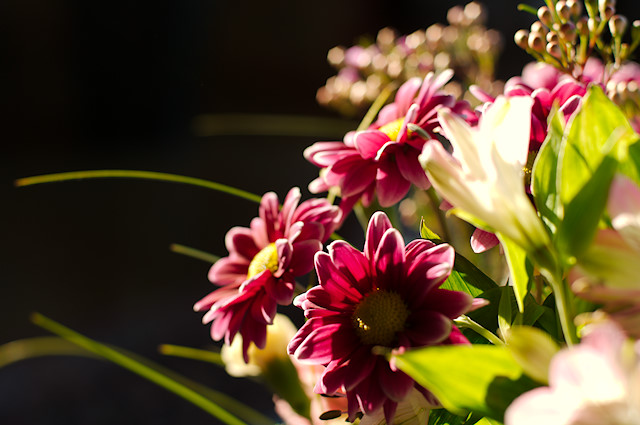 spring bouquet