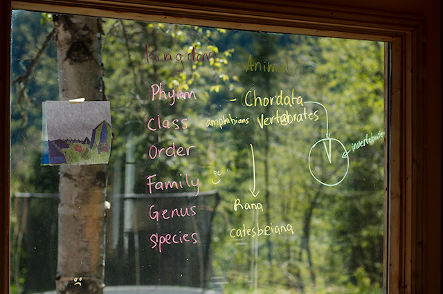 homeschool window blackboard