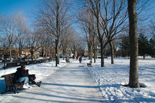 skating in montreal