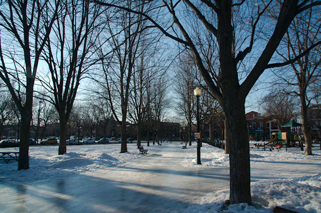 skating in montreal