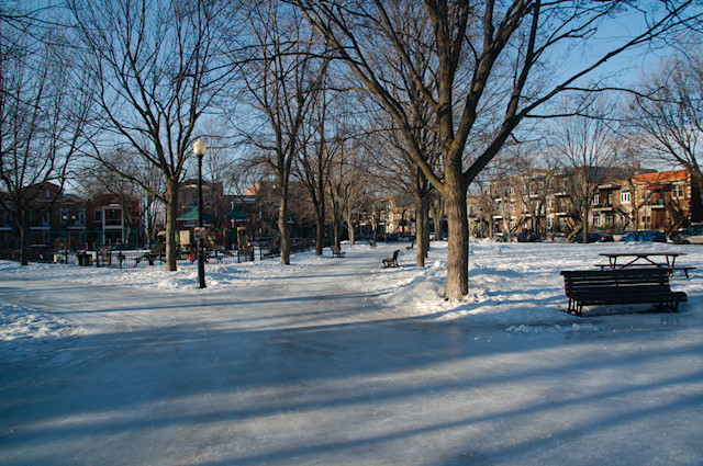 skating in montreal