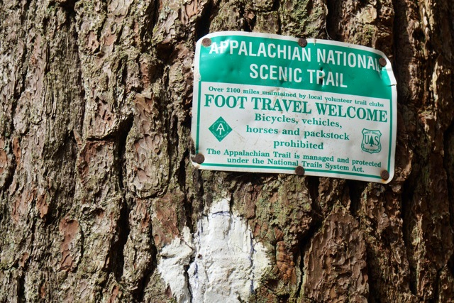 appalachian national scenic trail