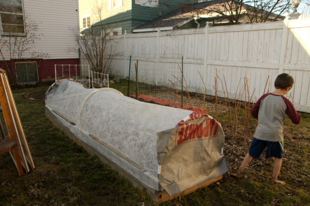 April 2009 : All covered to keep those babies warm.