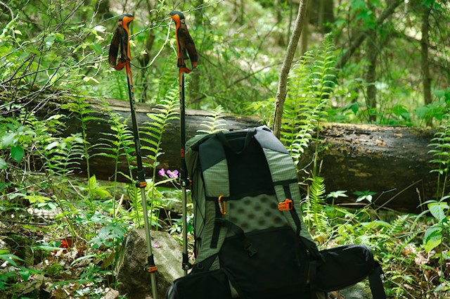 backpack and poles