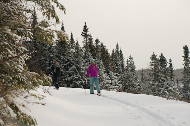 backcountry skiing gaspesie