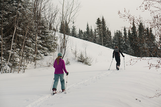 backcountry skiing pin rouge