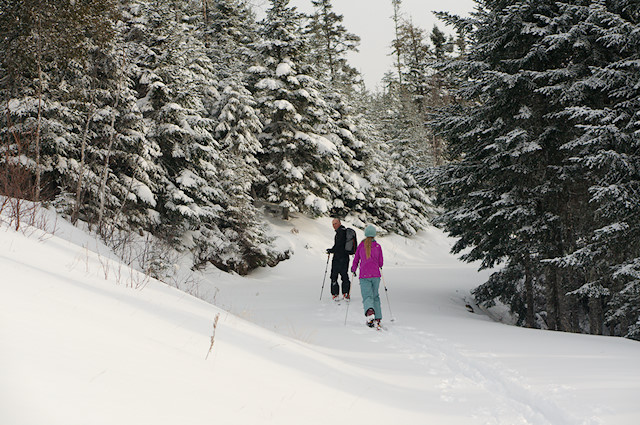 backcountry skiing with kids