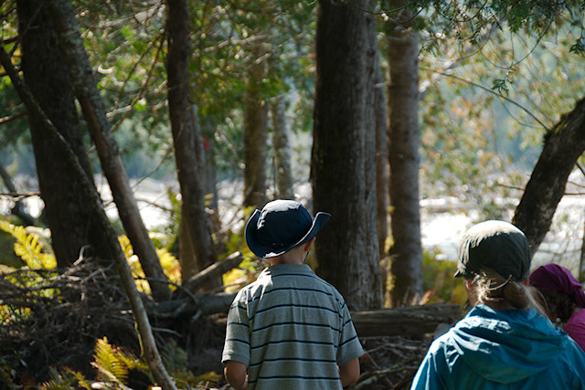 boy with hat in woods