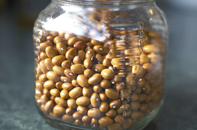 brown beans from farm