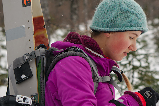 carrying splitboard