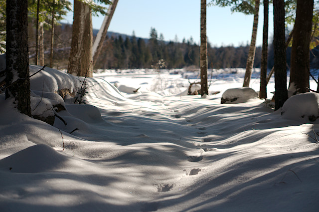 winter path