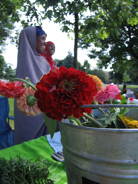 Farmer's Market Flowers