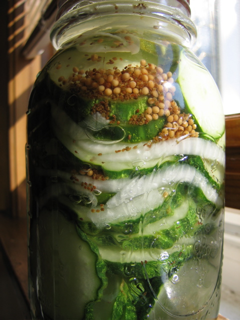 (Yay, finally a "preserves on a sunny window sill" shot)