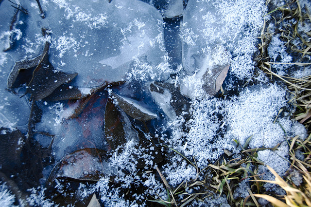 frozen puddle