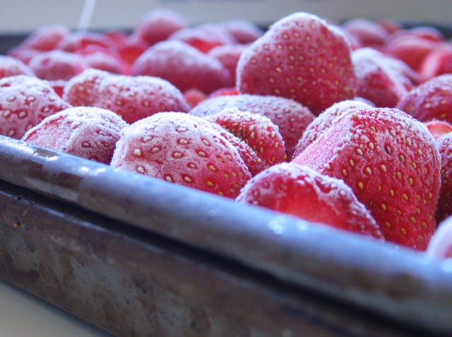 Frozen strawberries ready to be put into freezer bags