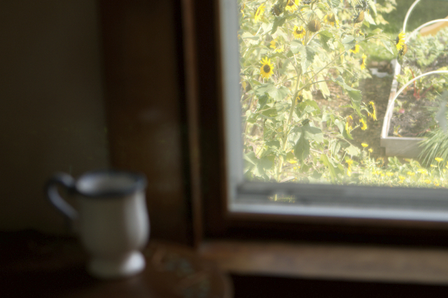 garden view from sewing room