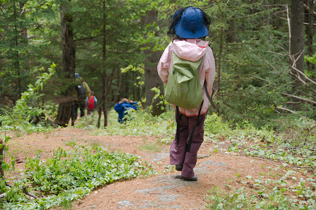 hiking with bugnet