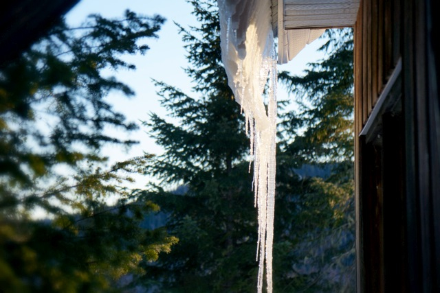 winter icicle