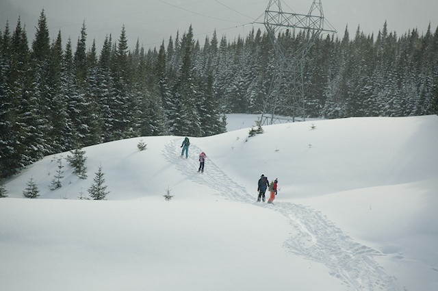 Skiing under power lines