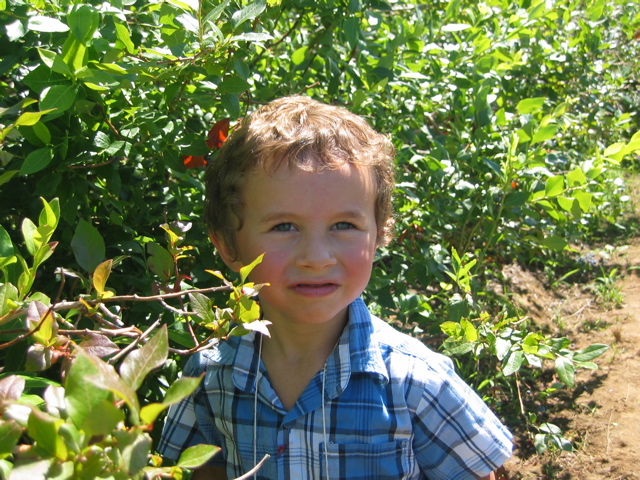 Blueberry boy in the blue shirt