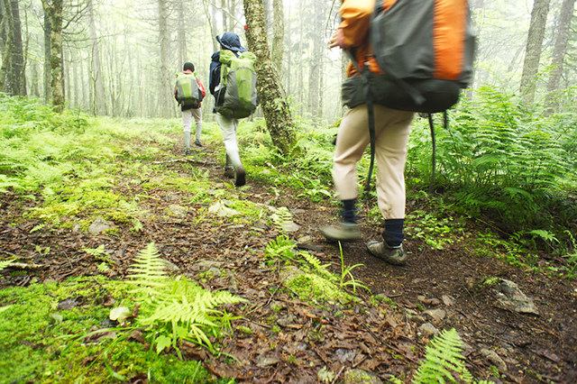 Hiking cape chignecto in mist