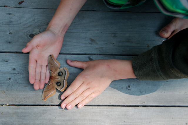 kids on deck with moth