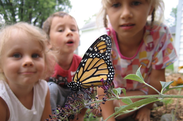 Kids and monarch