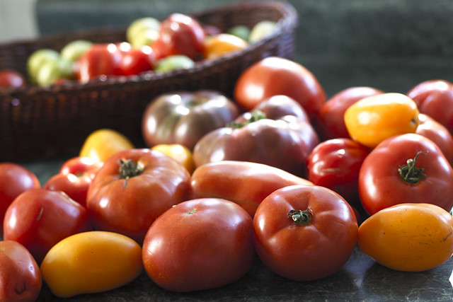 large tomatoes to freeze