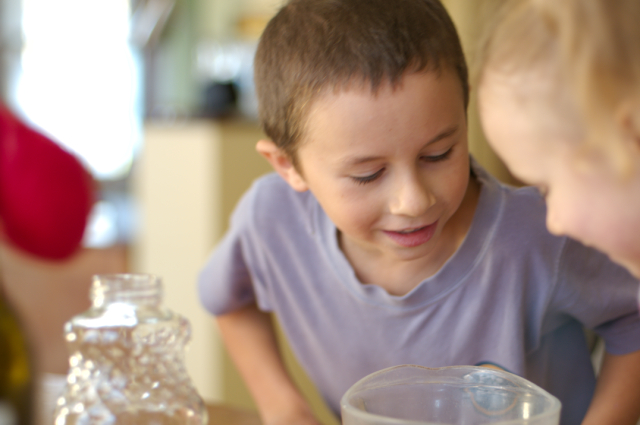 kitchen science study