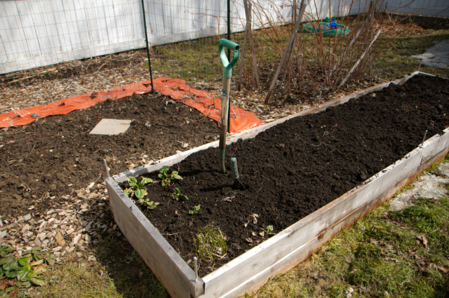 Late March 2009 : Adding compost before the spring planting