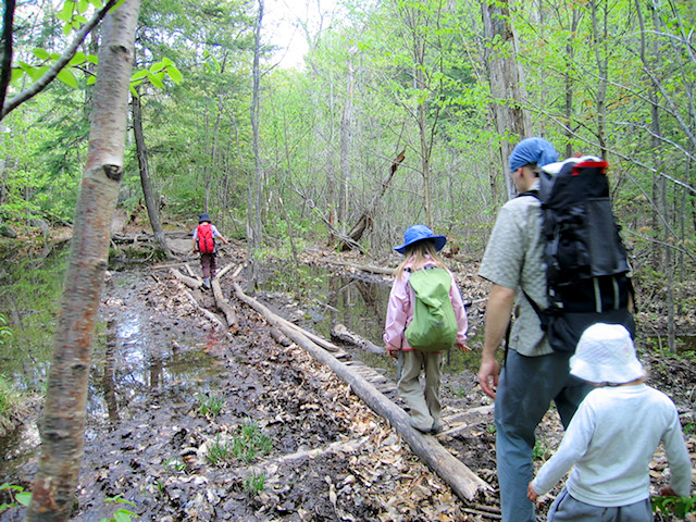 may swamp hiking