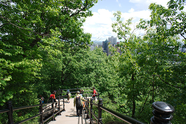 Mont Royal stairway