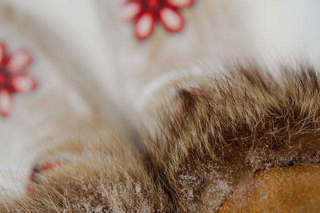 mukluk fur