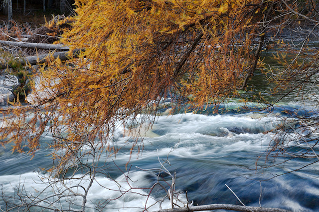 tamarack river