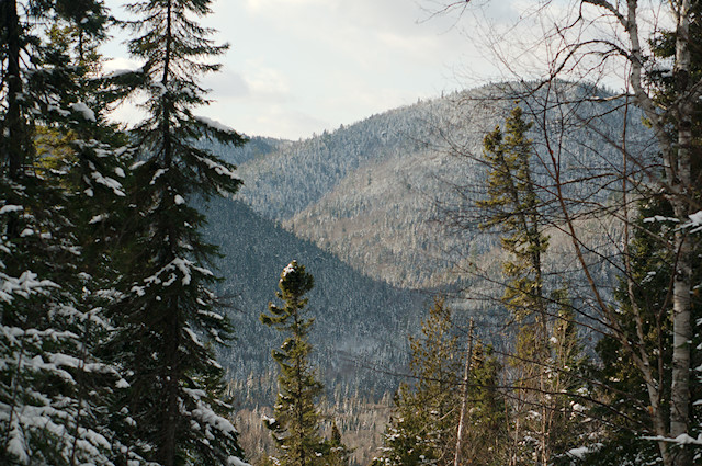 petite cascapedia valley snow