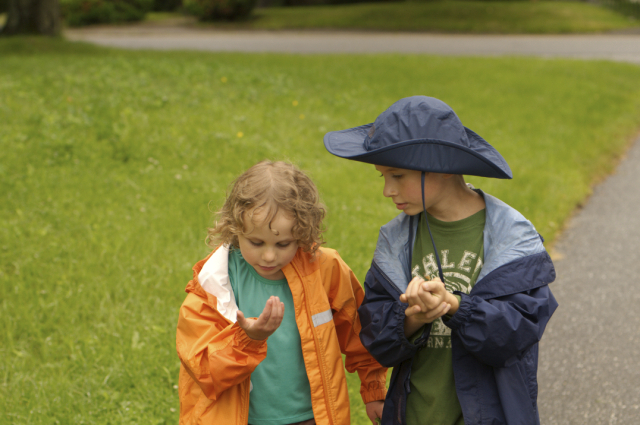 Snail buddies: sharing their finds