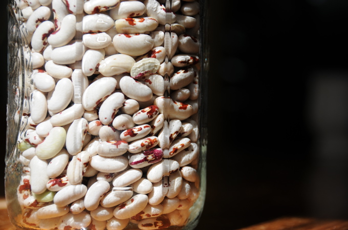 last year's bean harvest